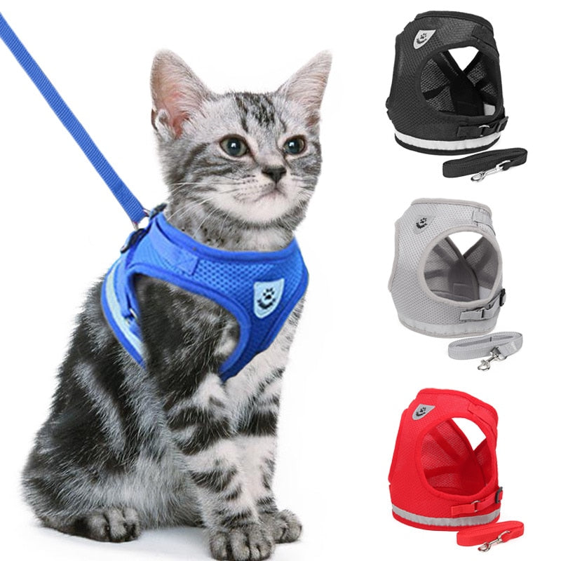 Cat Harness and Leash Set for Walking Cat and Dog - Free Shipping – pet  divine